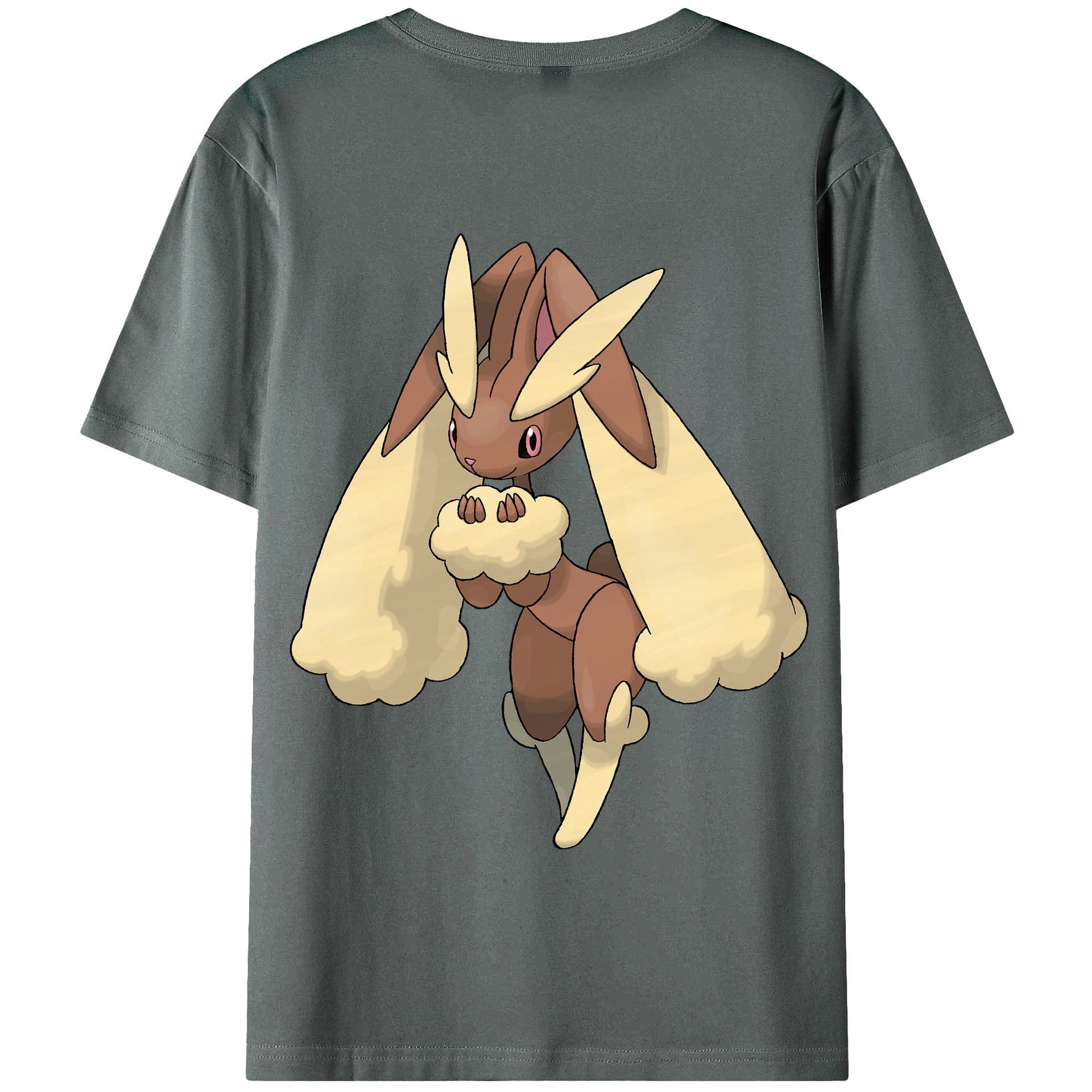 （画像用） ポケットモンスター Pokémon 綿100％半袖Tシャツ（背面プリント）